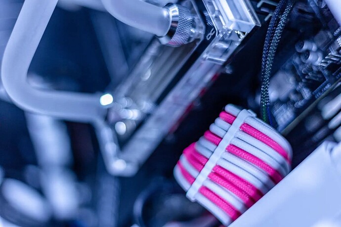 FB_IMG_1772614578898