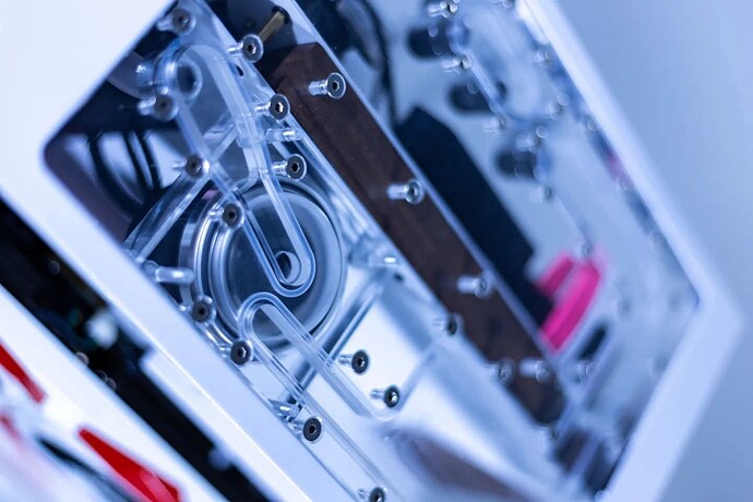 FB_IMG_1772614562040