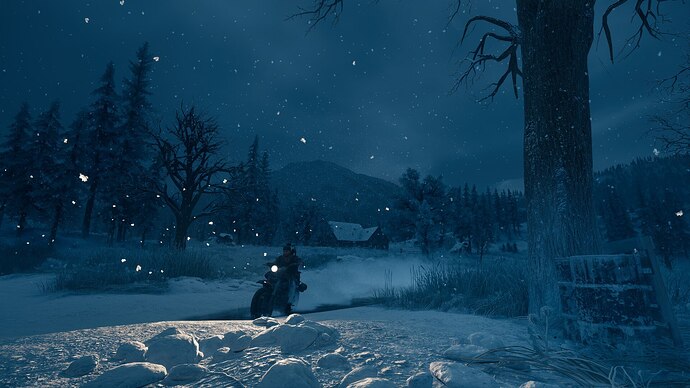daysgone-cold