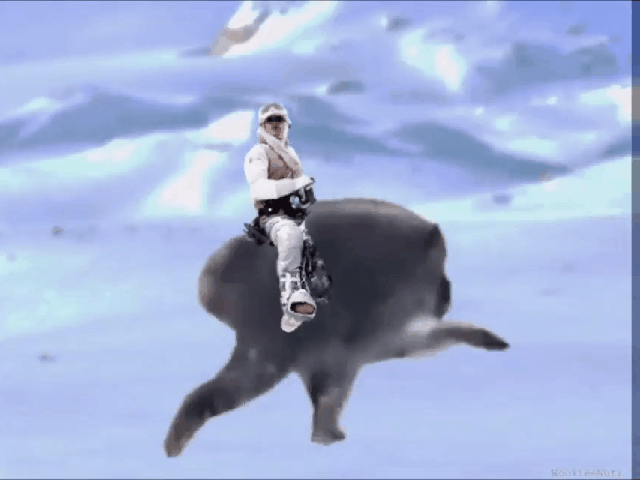 YOUR JIMOTHY WILL FREEZE BEFORE YOU REACH THE FIRST MARKER  Meme Creator